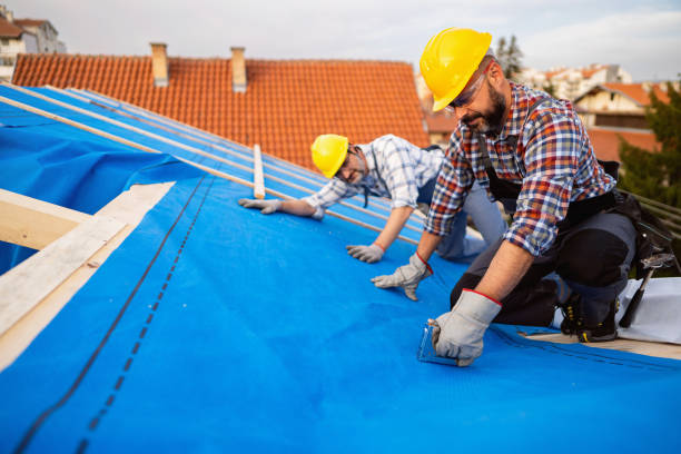 Roof Gutter Cleaning in Dellwood, MO