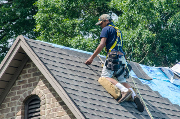 Best Roof Gutter Cleaning  in Dellwood, MO